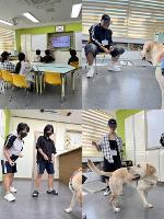위클래스 학교 내 대안교실 생명존중 동물매개치료 집단 프로그램 진행
