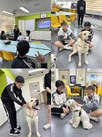 위클래스 빛깔담은 생명존중 동물매개치료 집단 프로그램